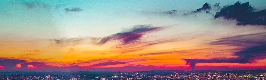 定边茶虫网_定边品茶